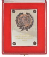 1989. "NB I. osztály - Magyar Népköztársaság Labdarúgó Bajnoksága - 1988/89" fém díjplaket...