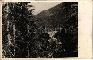 1943 Radnaborberek, Borberek-fürdő, Valea Vinului; (fl)