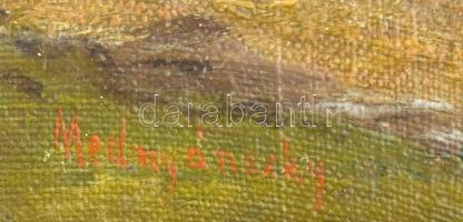 Mednyánszky jelzéssel: Tájkép. Olaj, vászon, kartonra kasírozva, keretben, 21x33 cm