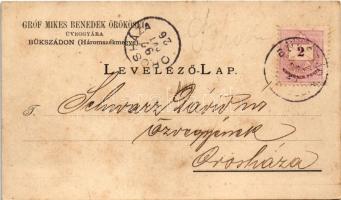 1897 (Vorläufer) Sepsibükszád, Bükszád, Bixad (Háromszék megye); Gróf Mikes Benedek örökösei üveggyá...