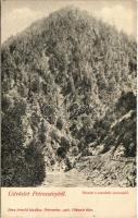 1908 Petrozsény, Petrosani; Részlet a szurduki szorosból. Herz Arnold kiadása / Pasul Surduc / Surduc gorge, mountain pass