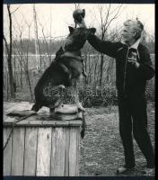 1971 Fót, kutyakiképzés, sajtófotó, a hátoldalon feliratozott, pecséttel jelzett (Magyar Hírek - Novotta Ferenc felvétele), 17x15,5 cm