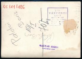 1965 Palotai Boris József Attila-díjas író, költő, sajtófotó, a hátoldalon feliratozott, pecséttel j...