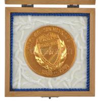 1988. "MTK-VM Sportklub 100 éves" nagyalakú aranyozott fém emlékérem dísztokban (70mm) T:A...