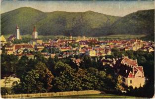 Besztercebánya, Banská Bystrica; látkép / general view (EK)