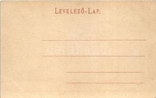 Fiume, Rijeka; Puntofranco / port, steamships