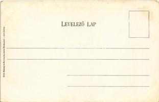 Budapest, Erzsébet híd. Tóth Károly és Schwartz Antal kiadása (EK)