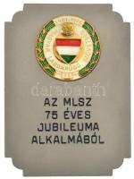 1976. Az MLSZ 75 éves jubileuma alkalmából fém emlékplakett, az MLSZ ünnepi címerét ábrázoló aranyozott, műgyantás díszítménnyel, eredeti tokban (70x95mm) T:AU / Hungary 1976. Az MLSZ 75 éves jubileuma alkalmából (On the occasion of the 75th anniversary of the Hungarian Fottball Association) metal plaque, with gilt resin decoration depicting the HFA festive coat of arms, in original case (70x95mm) C:AU