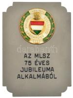 1976. "Az MLSZ 75 éves jubileuma alkalmából" fém emlékplakett, az MLSZ ünnepi címerét ábrázoló aranyozott, műgyantás díszítménnyel, eredeti tokban (70x95mm) T:AU / Hungary 1976. "Az MLSZ 75 éves jubileuma alkalmából (On the occasion of the 75th anniversary of the Hungarian Fottball Association)" metal plaque, with gilt resin decoration depicting the HFA festive coat of arms, in original case (70x95mm) C:AU