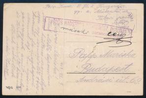 1919.07.14. A Magyar Tanácsköztársaság ideje alatt küldött tábori képeslap. Rendkívüli ritkaság, főleg mivel a Tanácsköztársaság területe nem volt tengerrel határos. VÖRÖS HADSEREG TENGERÉSZ DANDÁRA műszaki parancsnoksága / Field postcard
