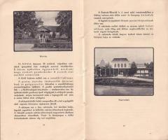 Bikszád Gyógyfürdő. Bp., Weiss L. és F. Kiadói papírkötés, kissé szakadt, képekkel gazdagon illusztr...