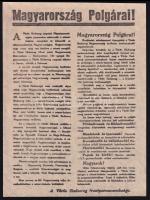 1945 A Vörös Hadsereg röplapja náci ellenes propaganda 20x30 cm