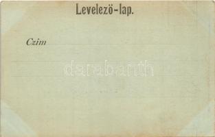 Zólyom, Zvolen; vár. Ivánszky Elek kiadása / Zvolensky zámok / castle (fl)