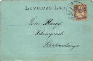 1901 Pozsony, Pressburg, Bratislava; vár. Carl Otto Hayd kiadása / castle (EK)