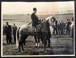 cca 1930 Lóversenyeken készült fotók, albumba ragasztva, 6,5×6,5 és 10,5×14,5 cm közötti méretekben,...