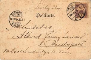 1900 November. Art Nouveau, litho - titkosírás (EK)