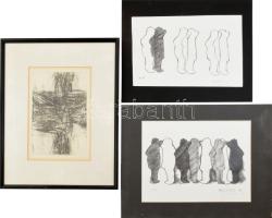 Suzanne Kleiner NY, Pinebush: 3 db grafika. Ceruza, papír, rézkarc, papír. Jelzettek. 20x30 cm, 22x16 cm