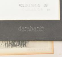 Suzanne Kleiner NY, Pinebush: 3 db grafika. Ceruza, papír, rézkarc, papír. Jelzettek. 20x30 cm, 22x1...