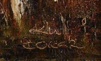 Bocsák Krisztina (1964- ): Vízparti alkony. Olaj, farost, jelzett, díszes fakeretben, hátoldalán cím...