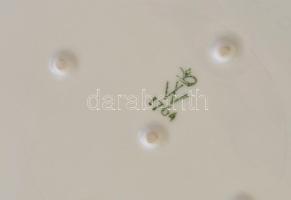 Wallendorf virágmintás porcelán bonbonier, matricás, jelzett, apró kopásokkal, 8,5x16,5x20 cm