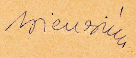 Erdei Ferenc-Féja Géza-Illyés Gyula-Ortutay Gyula-Szabó Zoltán: Régi magyarok. Bp., 1939, MEFHOSZ. E...