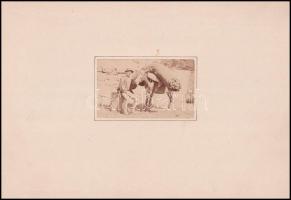 cca 1860-1890 Málhás szamár és gazdája, fotó kartonon, 9x5,5 cm (karton: 28x20 cm)