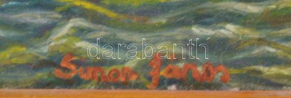 Simon János (?-): Velencei részlet, 1998. Olaj, farost. Fakeretben. 40x50 cm