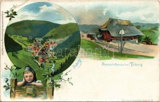 Triberg, Bauernhaus. Heinr. & Aug. Brüning Art Nouveau, floral, litho (r)