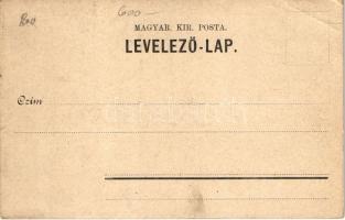 Triberg, Bauernhaus. Heinr. & Aug. Brüning Art Nouveau, floral, litho (r)