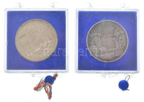 DN "Keszthely" jelzett Ag és ezüstpatinázott bronz emlékérem (2xklf) plombált ÁPV tokban. ...