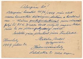 1949 Hódmezővásárhely, Mikula Andor gyógyszerész levele a Békésvármegyei alispánnak állampolgársági ...