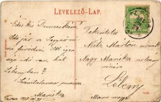 1908 Tarcsafürdő, Bad Tatzmannsdorf; Vízgyógyintézet / spa, bath / Wasserheilanstalt (EK)