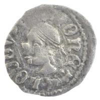 1373-1382 "szerecsenfejes" Denár Ag "I. Nagy Lajos" (0,55g) T:VF
Hungary 1373-1...