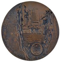 Pátkai Ervin (1937-1985) 1973. Budapest II. kerület 1873-1973 egyoldalas, öntött bronz emlékplakett (~112-115mm) T:AU