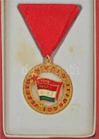 ~1970. Kiváló Ifjúsági Vezető aranyozott, műgyantás kitüntetés mellszalagon, miniatűrrel, eredeti tokban T:1-