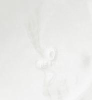 Herendi kék virágmintás teáscsésze aljjal, d: 15,5 cm, jelzett, hibátlan