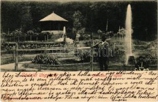 1903 Nevicke, Nevytske, Nyevicke (Ungvár, Uzshorod, Uzhorod); vár kert, vadász puskával. Feuerlicht Testvérek kiadása / castle park, hunter with gun