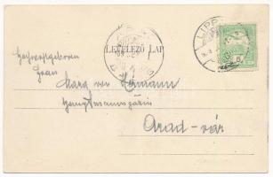 1909 Lippa, Lipova; Kórház utca. Konstantin Sándor kiadása / Hospital Street