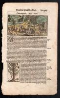 1560 Feketeerdő vadállatokkal, színezett fametszetű illusztráció, papír, In: Sebastian Münster: Cosmographie, kissé foltos, az egyik szélén kis szakadásokkal, 33x20 cm