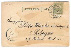 1906 Nagykároly, Carei; Kölcsei utca. Csókás László kiadása / street (fl)