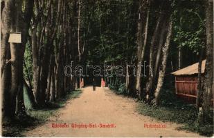 Görgényszentimre, Görgény-Szt.-Imre, Gurghiu; park. Dávidovits Tibor kiadása / park (EK)