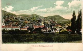 1908 Szilágysomlyó, Simleu Silvaniei; látkép. Heimlich K. kiadása / general view (képeslapfüzetből / from postcard booklet)