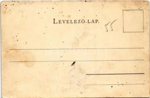 Zalatna, Zlatna; utca részlet. Nagy Lajos kiadása / street view (lyuk / pinhole)