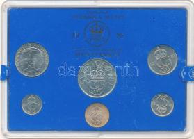 Svédország 1981. 5ö-5K (6xklf) forgalmi szett műanyag tokban T:UNC Sweden 1981. 5 Öre - 5 Kronor (6xdiff) coin set in plastic case C:UNC