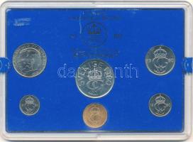 Svédország 1980. 5ö-5K (6xklf) forgalmi szett műanyag tokban T:UNC Sweden 1980. 5 Öre - 5 Kronor (6xdiff) coin set in plastic case C:UNC