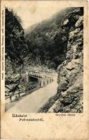 1906 Petrozsény, Petrosany, Petrosani; Szurduki részlet. Joánovits János kiadása / Pasul Surduc / mountain pass (fl)