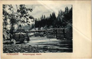 Petrozsény, Petrosani; Kimpulunyági részlet, zsilip. Herz Henrik kiadása 1909. / Campu lui Neag / dam (fa)