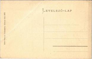 Petrozsény, Petrosani; Feljárat a pályaudvarhoz. Adler fényirda 1909. / railway station (fa)