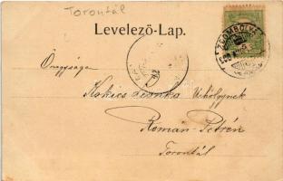 1902 Zsombolya, Hatzfeld, Jimbolia; Fő tér. Poledna Rudolf kiadása / main square (fl)