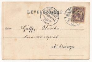 1901 Szatmárnémeti, Szatmár, Satu Mare; Deák tér. Löwy Miksa kiadása, szecessziós fémes hatású fóliá...